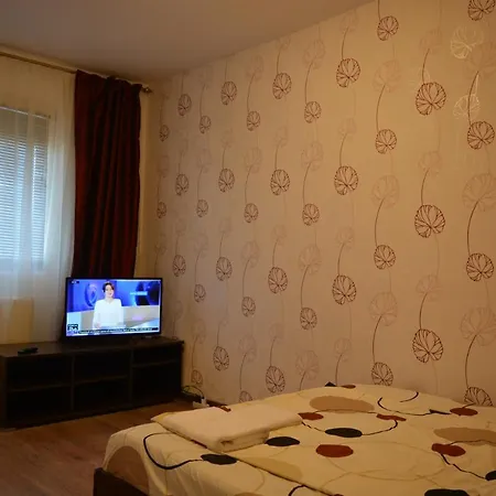 Apartment Iulia 9